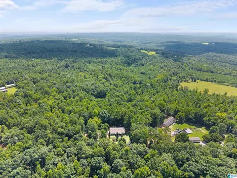 View/Area - 165 Brewer Ln, Warrior, AL 35180 photo 6 of 7