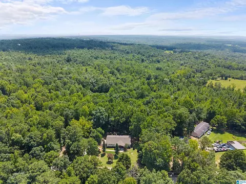 View/Area - 165 Brewer Ln, Warrior, AL 35180 photo 3 of 7