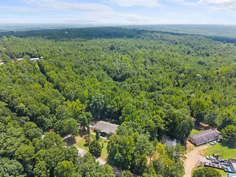View/Area - 165 Brewer Ln, Warrior, AL 35180 photo 4 of 7