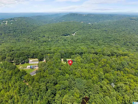 Other - 165 Brewer Ln, Warrior, AL 35180 photo 9 of 10