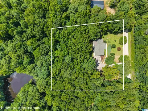 Other - 165 Brewer Ln, Warrior, AL 35180 photo 10 of 10