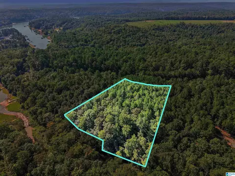 lot20 Shoreside Dr #20, Double Springs, AL 35553