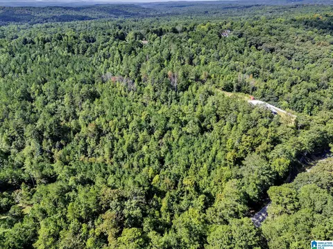 0 Mountain View Rd #4, Odenville, AL 35120