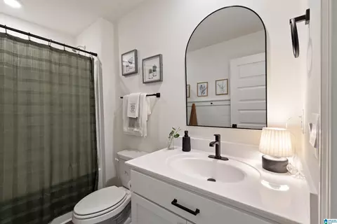 Bath - 4161 Brookside Dr, Mount Olive, AL 35117 photo 2 of 2