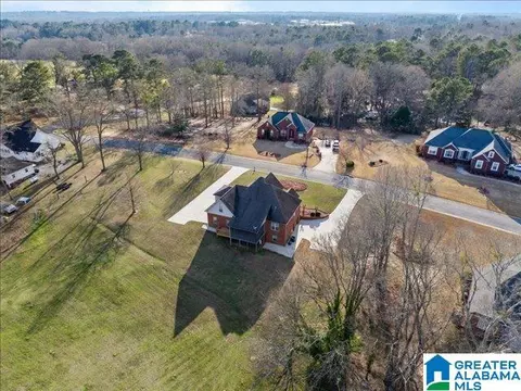 View/Area - 20 Deer Trce, Clanton, AL 35045 photo 8 of 12