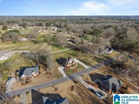 View/Area - 20 Deer Trce, Clanton, AL 35045 photo 12 of 12