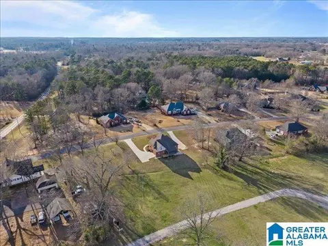 View/Area - 20 Deer Trce, Clanton, AL 35045 photo 10 of 12