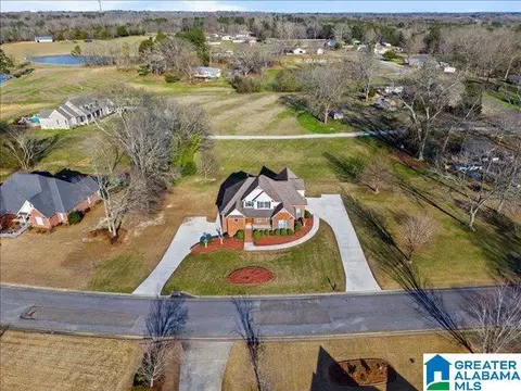 View/Area - 20 Deer Trce, Clanton, AL 35045 photo 4 of 12