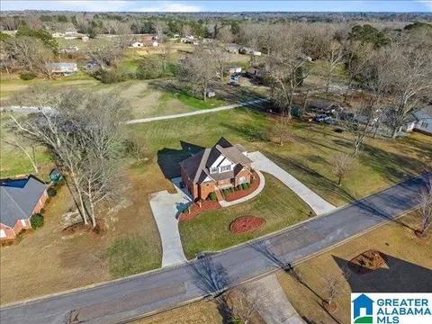 View/Area - 20 Deer Trce, Clanton, AL 35045 photo 5 of 12