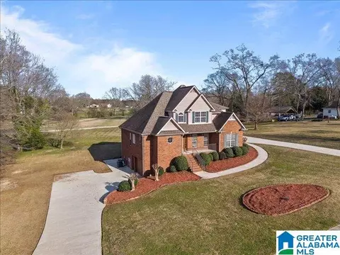 View/Area - 20 Deer Trce, Clanton, AL 35045 photo 1 of 12