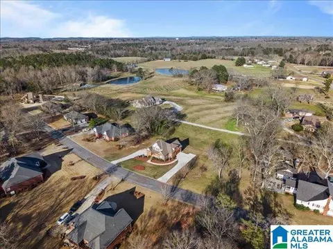 View/Area - 20 Deer Trce, Clanton, AL 35045 photo 11 of 12