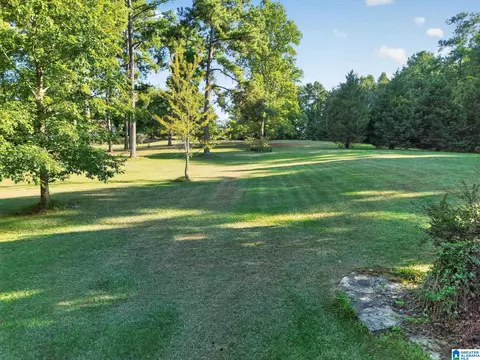 Exterior - 501 Pineview Rd, Clanton, AL 35045 photo 17 of 17