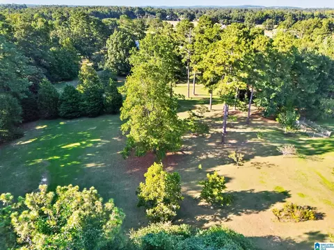 Other - 501 Pineview Rd, Clanton, AL 35045 photo 12 of 12