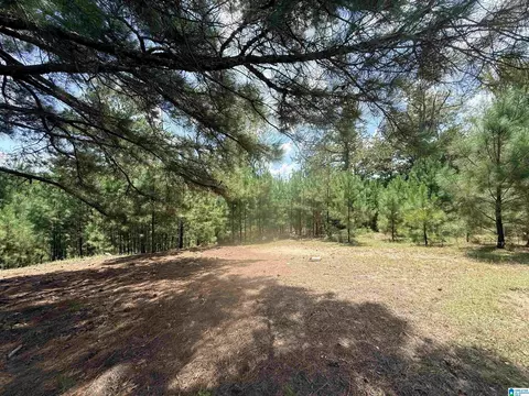 0000 Rockyview Rd #0, West Blocton, AL 35184