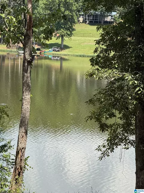 Lot 1 Cam's Cov Old Highway 431 #1, Wedowee, AL 36278