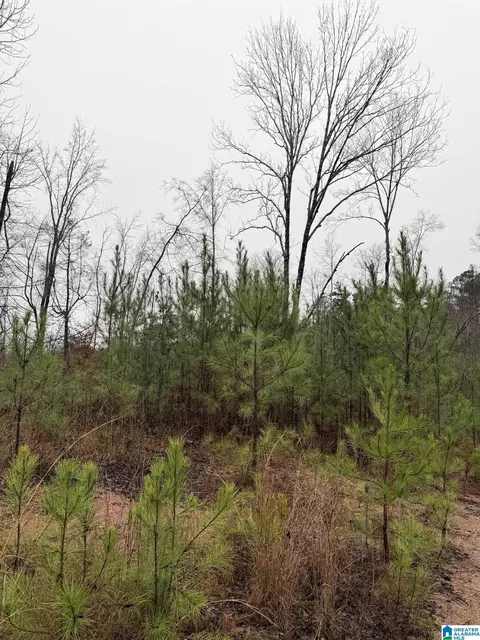 0000 County Road 472 #ACREAGE, Clanton, AL 35045 photo 4