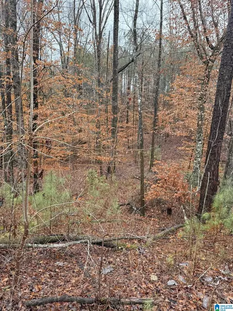 0000 County Road 472 #ACREAGE, Clanton, AL 35045 photo 14