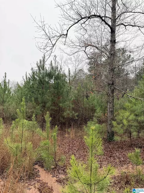 0000 County Road 472 #ACREAGE, Clanton, AL 35045 photo 5