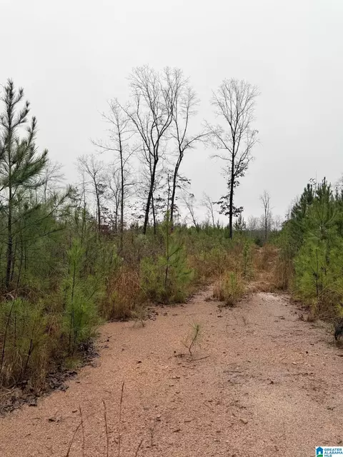 0000 County Road 472 #ACREAGE, Clanton, AL 35045 photo 3