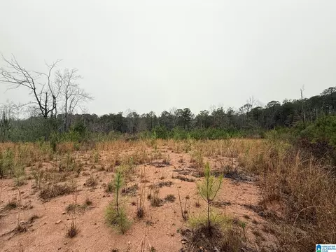 0000 County Road 472 #ACREAGE, Clanton, AL 35045 photo 10
