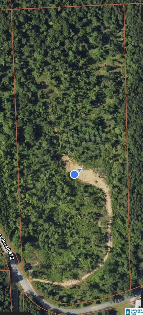 0000 County Road 472 #ACREAGE, Clanton, AL 35045 photo 2