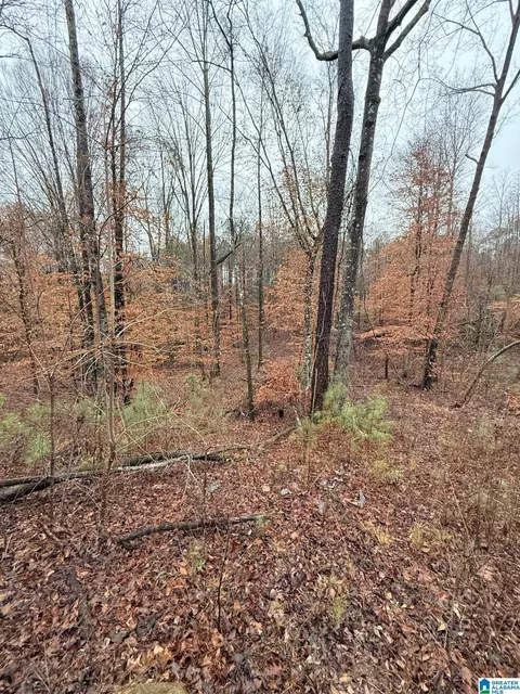 0000 County Road 472 #ACREAGE, Clanton, AL 35045 photo 13