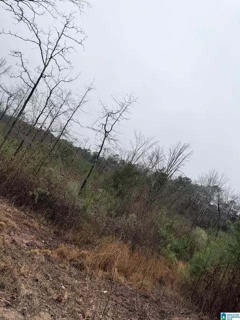 0000 County Road 472 #ACREAGE, Clanton, AL 35045 photo 6