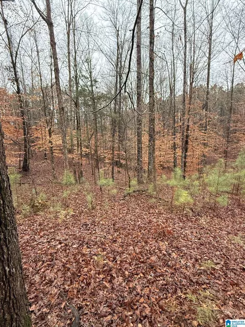 0000 County Road 472 #ACREAGE, Clanton, AL 35045 photo 15