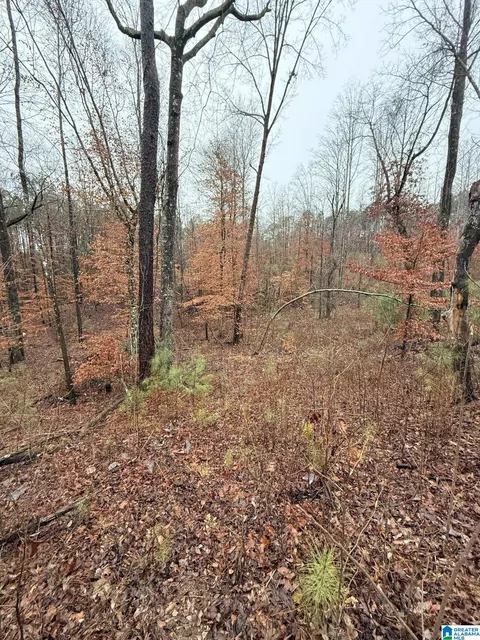 0000 County Road 472 #ACREAGE, Clanton, AL 35045 photo 12