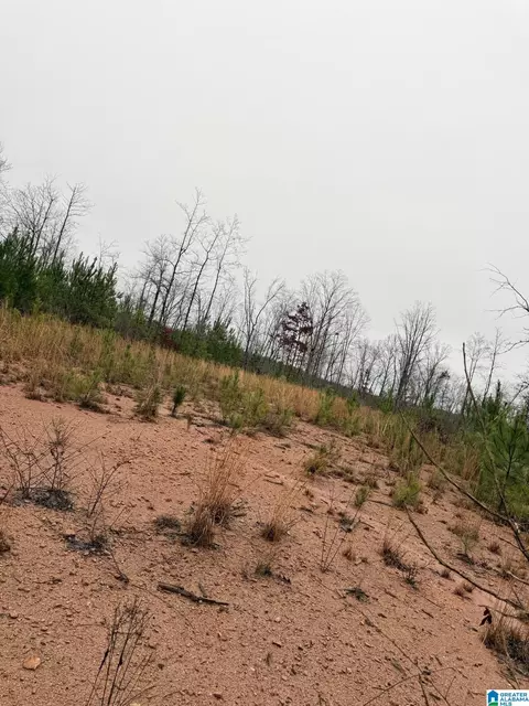 0000 County Road 472 #ACREAGE, Clanton, AL 35045 photo 9