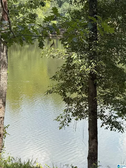 Lot 2 Cam's Cov Old Highway 431 #2, Wedowee, AL 36278