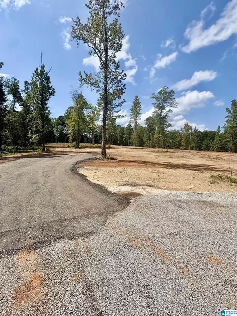 lot14 Cams Cov Old Highway 431 #LOT 14, Wedowee, AL 36278