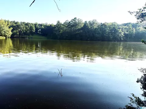 Lot 5 Cam's Cov Old Highway 431 #5, Wedowee, AL 36278