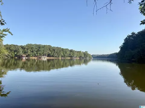 Lot 6 Cam's Cov Old Highway 431 #6, Wedowee, AL 36278
