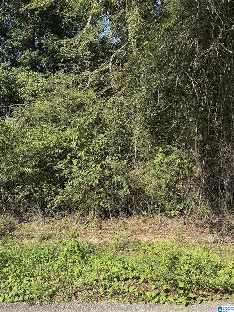 0 Shocco Springs Rd #4, Talladega, AL 35160