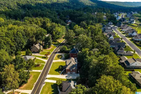 View/Area - 4516 Eagle Point Dr, Birmingham, AL 35242 photo 5 of 5