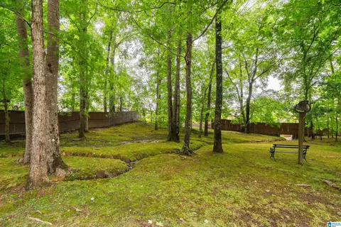 Exterior - 4516 Eagle Point Dr, Birmingham, AL 35242 photo 8 of 24