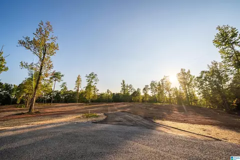 lot13 Cams Cov Old Highway 431 #LOT 13, Wedowee, AL 36278