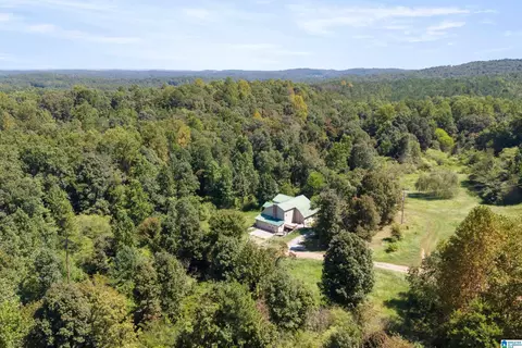 235 Graham Rd, Pell City, AL 35125
