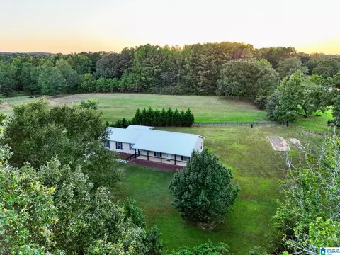 Other - 238 Clark Rd, Jasper, AL 35503 photo 9 of 10