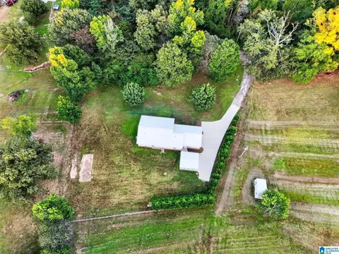 Other - 238 Clark Rd, Jasper, AL 35503 photo 10 of 10