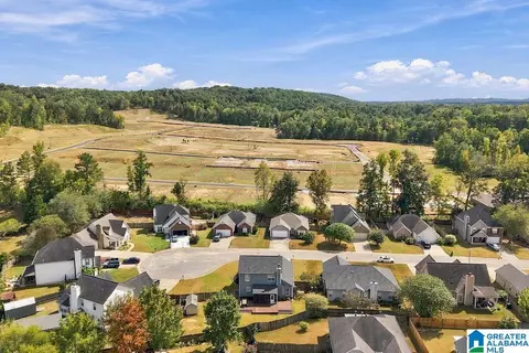 View/Area - 459 Cedar Grove Ln, Maylene, AL 35114 photo 5 of 6