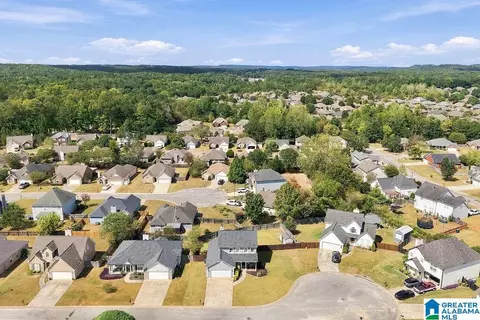 View/Area - 459 Cedar Grove Ln, Maylene, AL 35114 photo 6 of 6