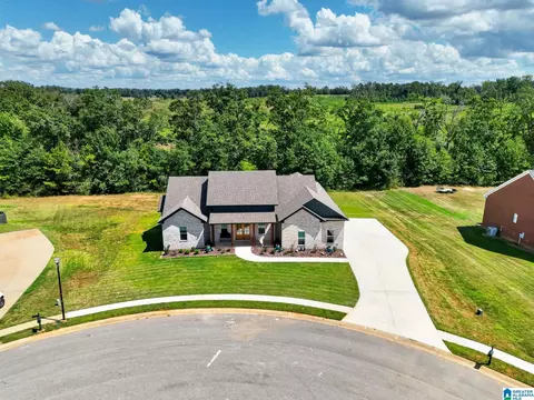 View/Area - 105 Crest Loop Rd, Clanton, AL 35045 photo 1 of 4