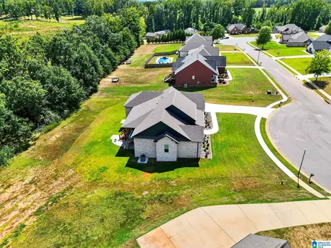 View/Area - 105 Crest Loop Rd, Clanton, AL 35045 photo 3 of 4