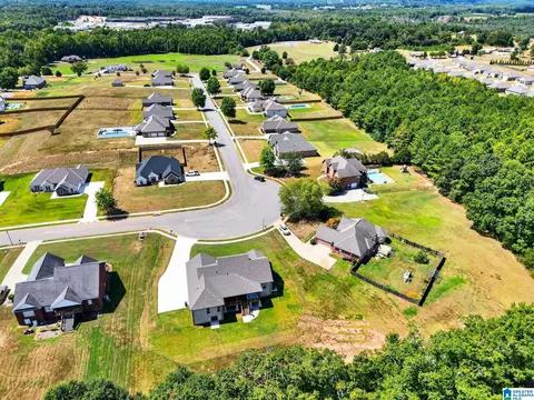 View/Area - 105 Crest Loop Rd, Clanton, AL 35045 photo 4 of 4