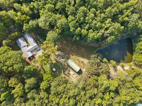 Other - 2516 Red Valley Rd, Remlap, AL 35133 photo 9 of 11