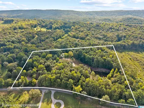 Other - 2516 Red Valley Rd, Remlap, AL 35133 photo 11 of 11