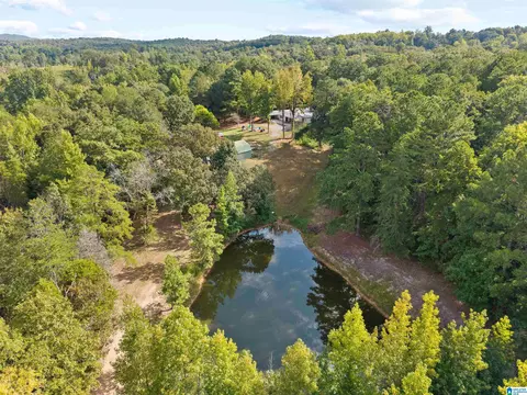 View/Area - 2516 Red Valley Rd, Remlap, AL 35133 photo 2 of 6