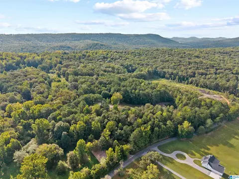 View/Area - 2516 Red Valley Rd, Remlap, AL 35133 photo 6 of 6